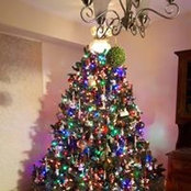 Stacey O'Donoghue's photo