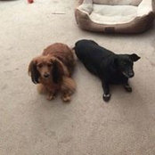 Emmy Harris's photo