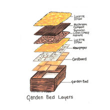 Gardening Tips