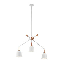 kitchen/dining light