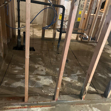 Federal Way Basement Remodel