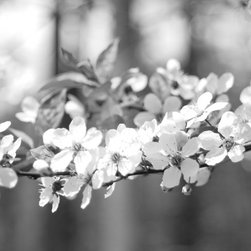 Flowers - Artwork