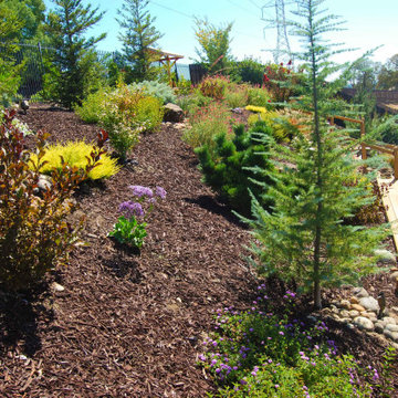 Terraced Backyard