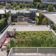 Roof Garden