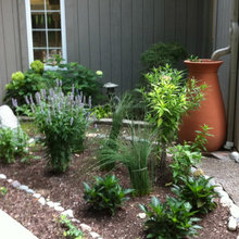 Rainwater for garden