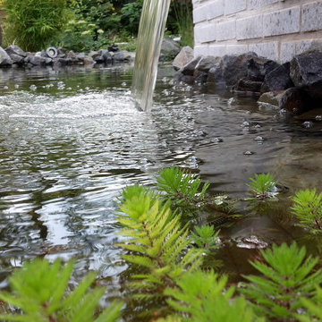 Zierteiche und Wasserbecken