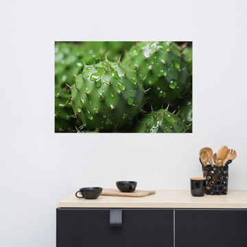 Farmhouse Rustic Wall Art: A Prickly Ensemble Cactus Photorealism