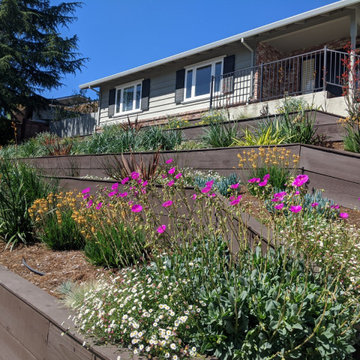 Terraced Curb Appeal & Sloped Backyard Garden