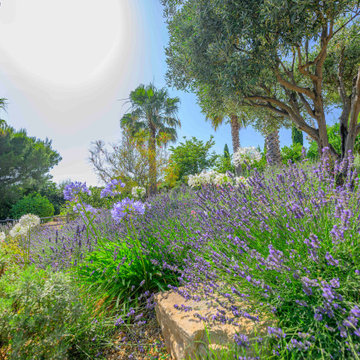 La Ciotat - Jardin suspendu - Photo : Patrice Aïm