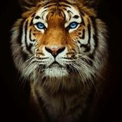Helene Hatfield's photo
