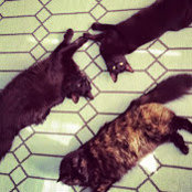 Emily Christescu's photo
