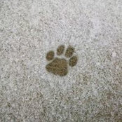 Darlene Kolanski's photo