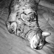 Heather Kraftさんの写真