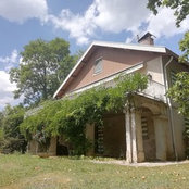 Photo de ptitemena