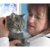 Suzanne Gauvin's photo