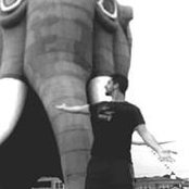Stephen DiBerardo's photo