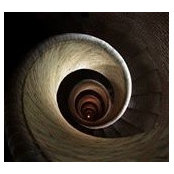Michelle Priestly's photo