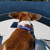 Deb Turbes-Jensen's photo