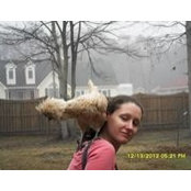 June Hess's photo