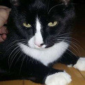 Diane Morrow's photo