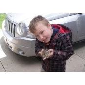 Stephanie Temesy's photo