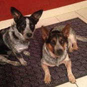 Rhonda Miller's photo