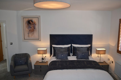 This is an example of a contemporary bedroom in Other.