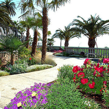 Mediterranean Masterpiece