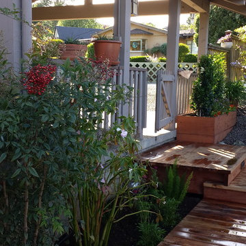 Carport entry to new walk