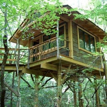 treehouse