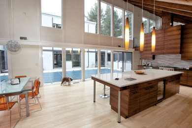 Kitchen - contemporary kitchen idea in Boston
