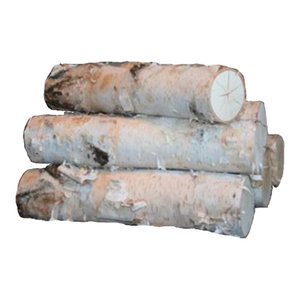 Large White Birch Fireplace Logs Set Of 5 Traditional Fire