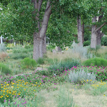 bee garden