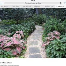 Backyard Garden