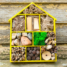 DIY Project: Build Your Own Insect Hotel