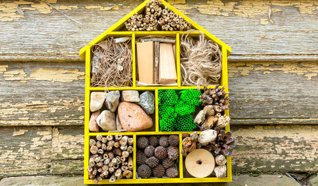 DIY Project: Build Your Own Insect Hotel
