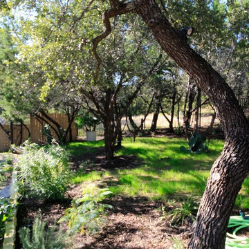 Long Wood Landscape and exterior