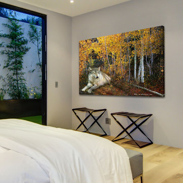Wolf Repose Aspen
