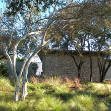 front yard