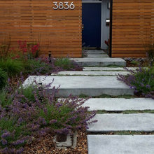 my new front yard project