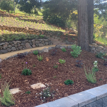 Hillside Flower Meadow + Food Forest