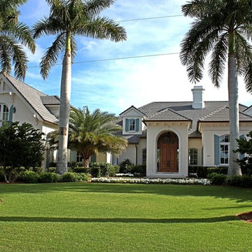 EMPIRE Zoysia