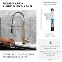 STYLISH Milano Pull-Down Kitchen Faucet with water filter, Stainless Steel., Brushed Gold
