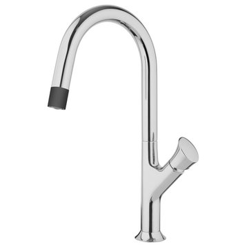 Fortis 6459100 Kitchen 1.8 GPM 1 Hole Pull Down Kitchen Faucet - Polished