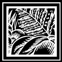 Ferncliff Inc.