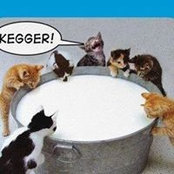 Foto de Diane Kiger

