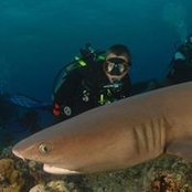 Aaron Florn's photo
