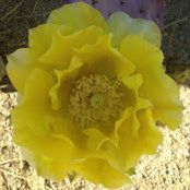 Sharon Webb's photo