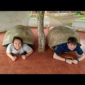 Emily Yang's photo