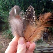 Katherine Gallagher's photo